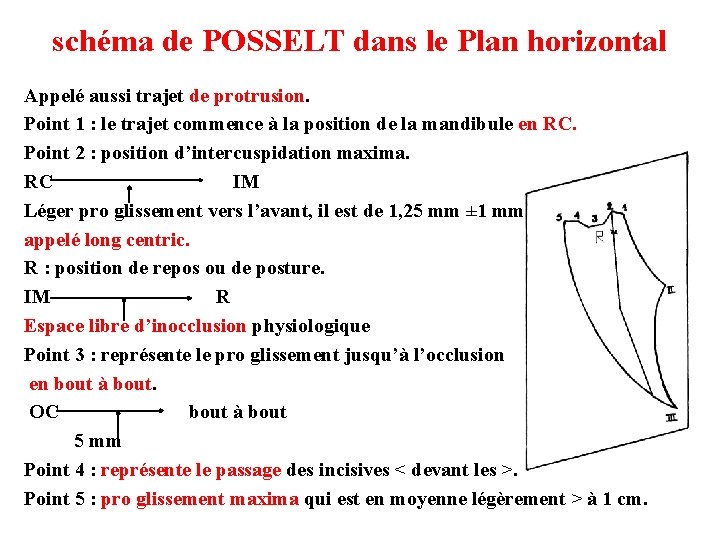 schéma de POSSELT dans le Plan horizontal Appelé aussi trajet de protrusion. Point 1