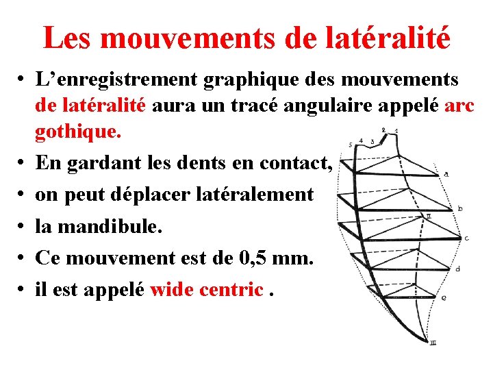 Les mouvements de latéralité • L’enregistrement graphique des mouvements de latéralité aura un tracé