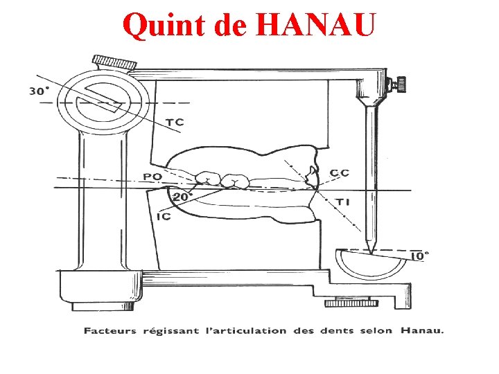 Quint de HANAU 