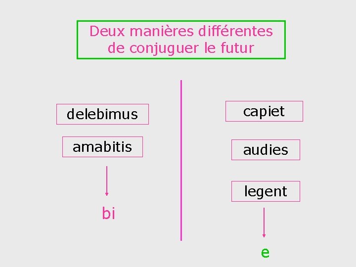 Deux manières différentes de conjuguer le futur delebimus capiet amabitis audies legent bi e