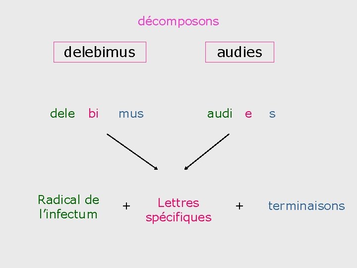 décomposons delebimus dele bi Radical de l’infectum mus + audies audi Lettres spécifiques e