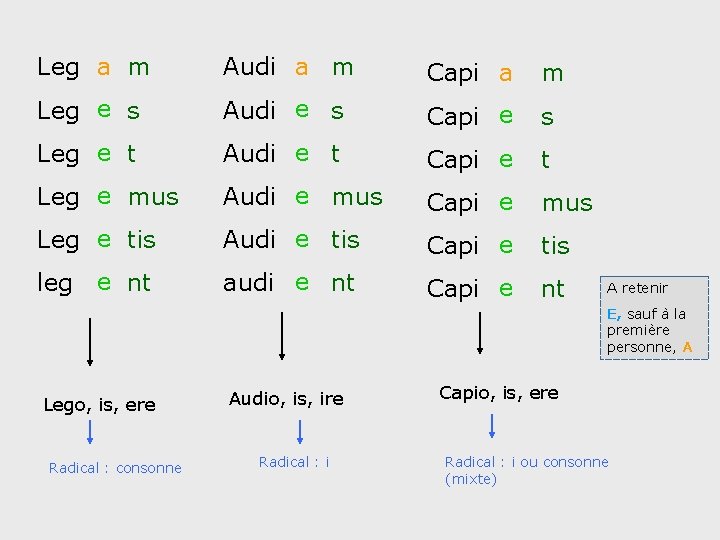 Leg a m Audi a m Capi a m Leg e s Audi e