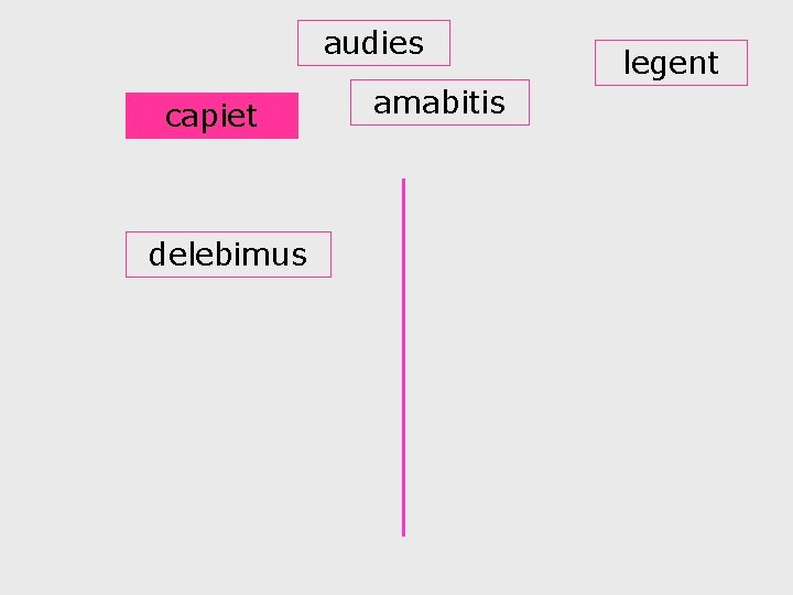 audies capiet delebimus amabitis legent 