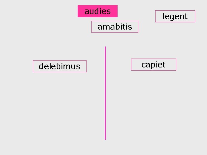 audies legent amabitis delebimus capiet 