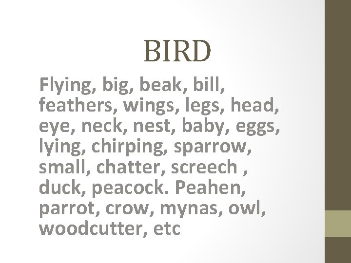 BIRD Flying, big, beak, bill, feathers, wings, legs, head, eye, neck, nest, baby, eggs,