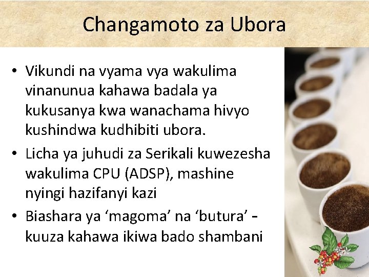 Changamoto za Ubora • Vikundi na vyama vya wakulima vinanunua kahawa badala ya kukusanya