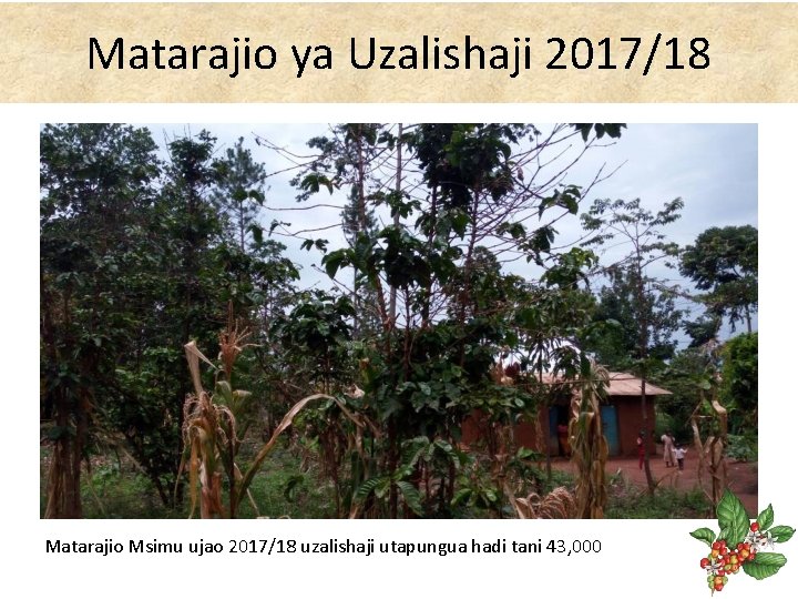 Matarajio ya Uzalishaji 2017/18 Matarajio Msimu ujao 2017/18 uzalishaji utapungua hadi tani 43, 000