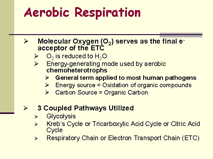 Aerobic Respiration Ø Molecular Oxygen (O 2) serves as the final eacceptor of the