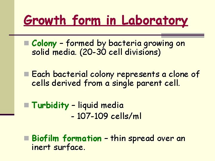 Growth form in Laboratory n Colony – formed by bacteria growing on solid media.