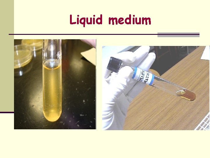 Liquid medium 