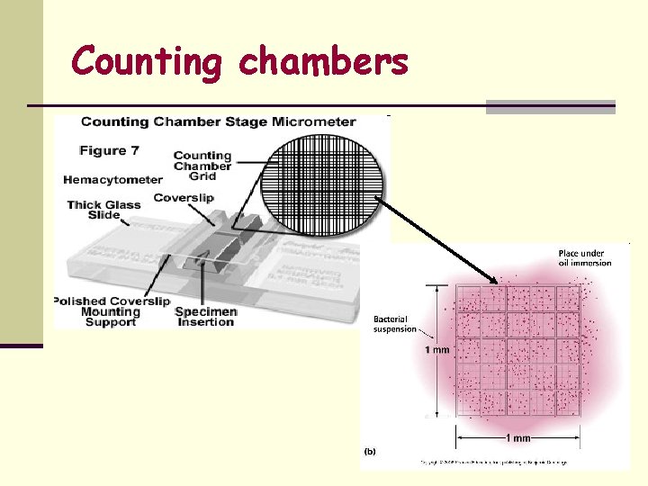 Counting chambers 