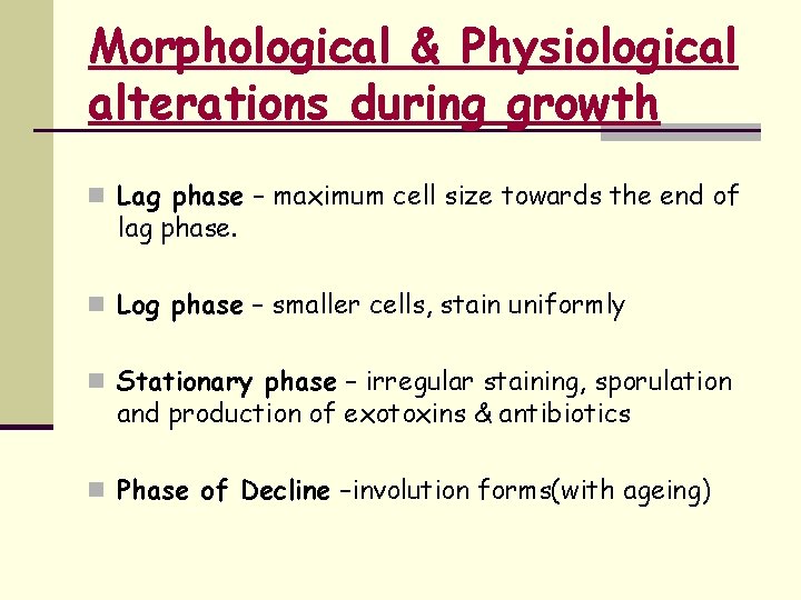 Morphological & Physiological alterations during growth n Lag phase – maximum cell size towards