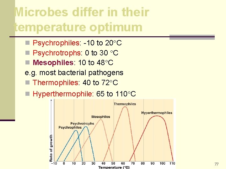 Microbes differ in their temperature optimum n Psychrophiles: -10 to 20 C n Psychrotrophs: