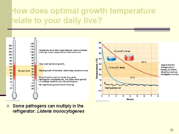 How does optimal growth temperature relate to your daily live? n Some pathogens can