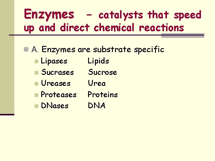 Enzymes - catalysts that speed up and direct chemical reactions n A. Enzymes are