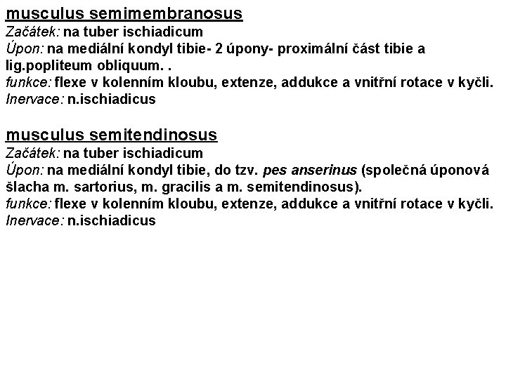 musculus semimembranosus Začátek: na tuber ischiadicum Úpon: na mediální kondyl tibie- 2 úpony- proximální