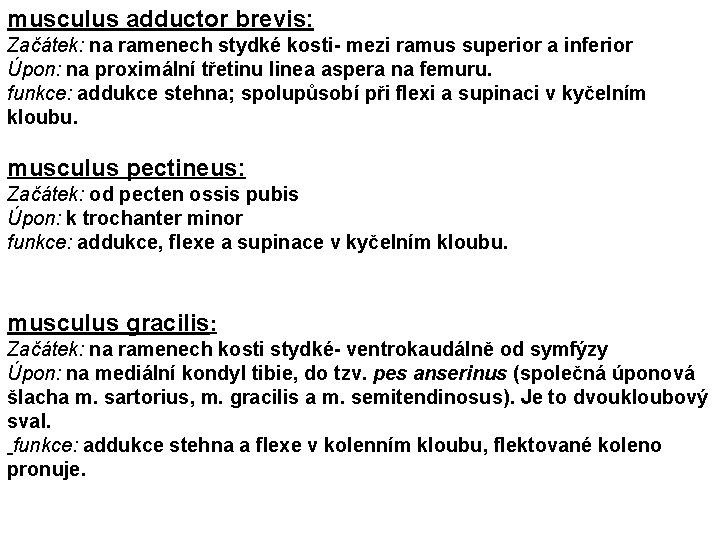 musculus adductor brevis: Začátek: na ramenech stydké kosti- mezi ramus superior a inferior Úpon: