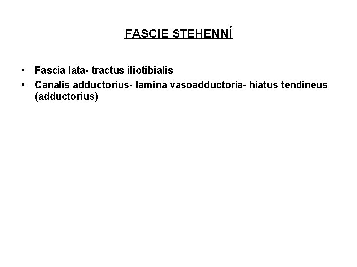 FASCIE STEHENNÍ • Fascia lata- tractus iliotibialis • Canalis adductorius- lamina vasoadductoria- hiatus tendineus
