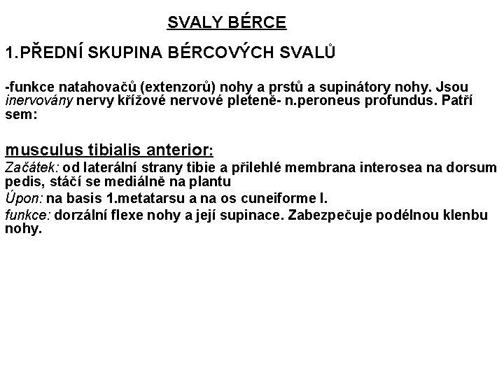 SVALY BÉRCE 1. PŘEDNÍ SKUPINA BÉRCOVÝCH SVALŮ -funkce natahovačů (extenzorů) nohy a prstů a