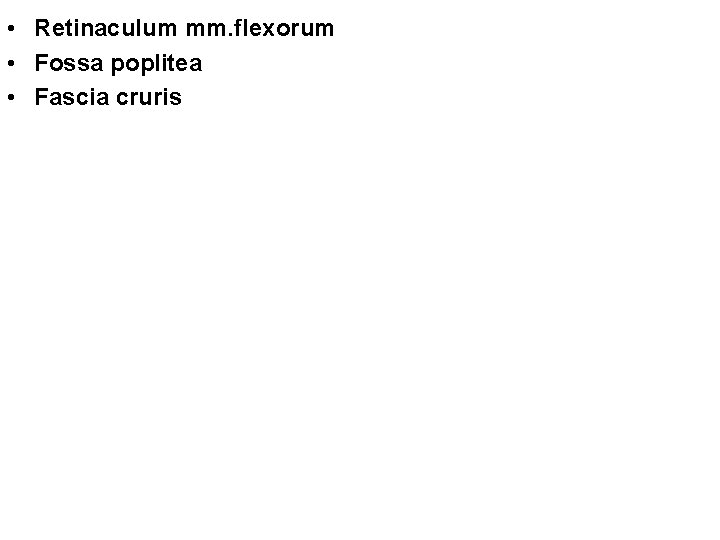  • Retinaculum mm. flexorum • Fossa poplitea • Fascia cruris 