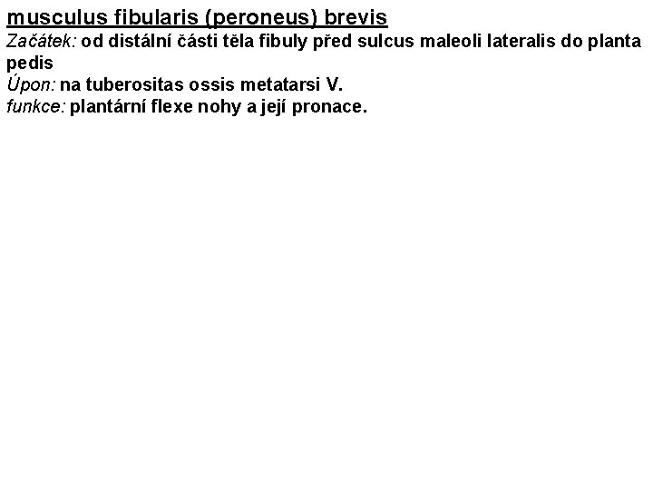 musculus fibularis (peroneus) brevis Začátek: od distální části těla fibuly před sulcus maleoli lateralis