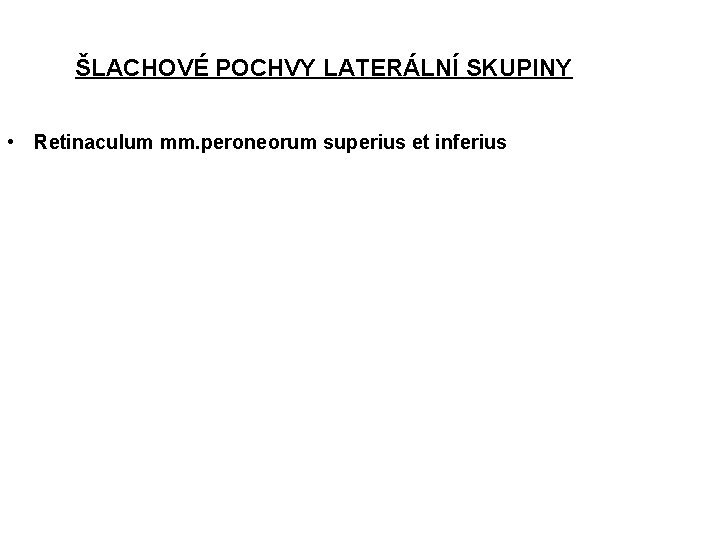 ŠLACHOVÉ POCHVY LATERÁLNÍ SKUPINY • Retinaculum mm. peroneorum superius et inferius 