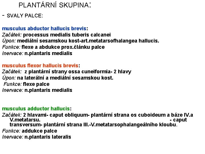 PLANTÁRNÍ SKUPINA: - SVALY PALCE: musculus abductor hallucis brevis: Začátek: processus medialis tuberis calcanei