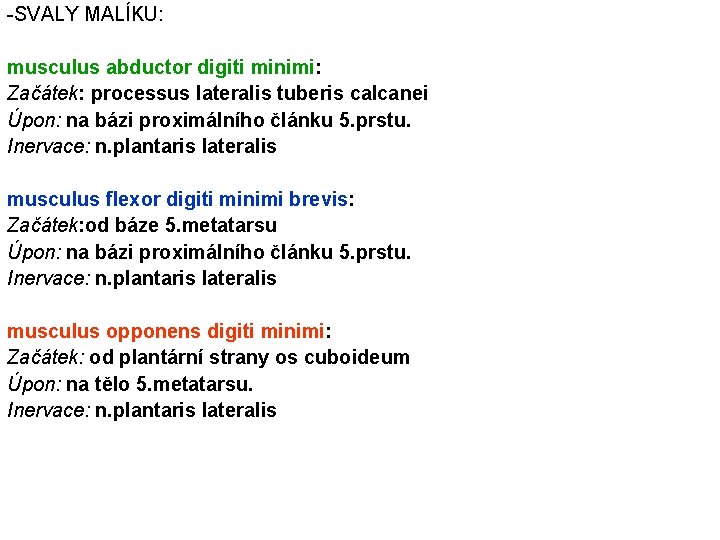 -SVALY MALÍKU: musculus abductor digiti minimi: Začátek: processus lateralis tuberis calcanei Úpon: na bázi