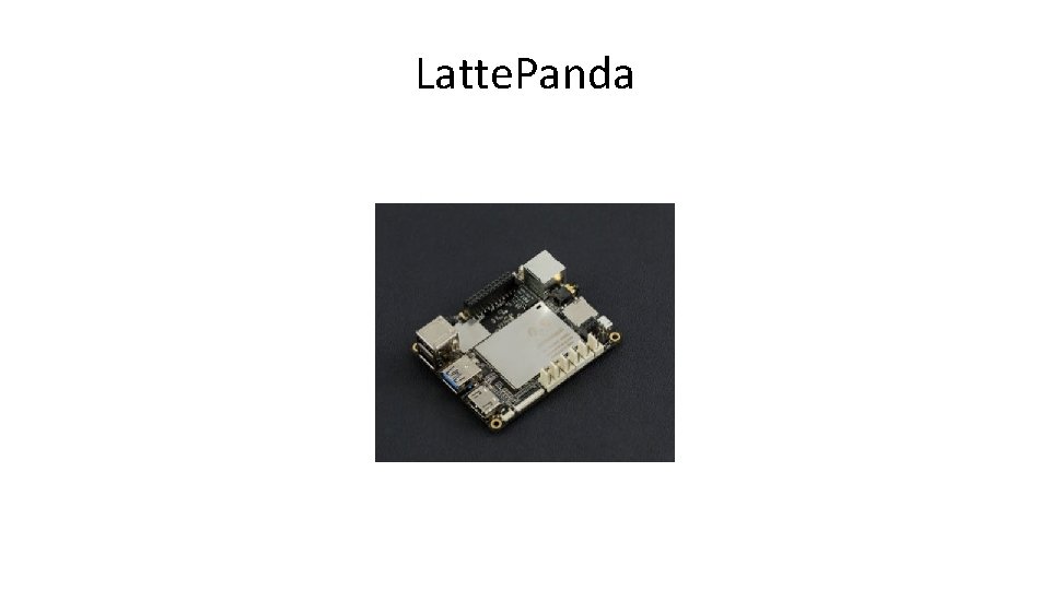 Latte. Panda 