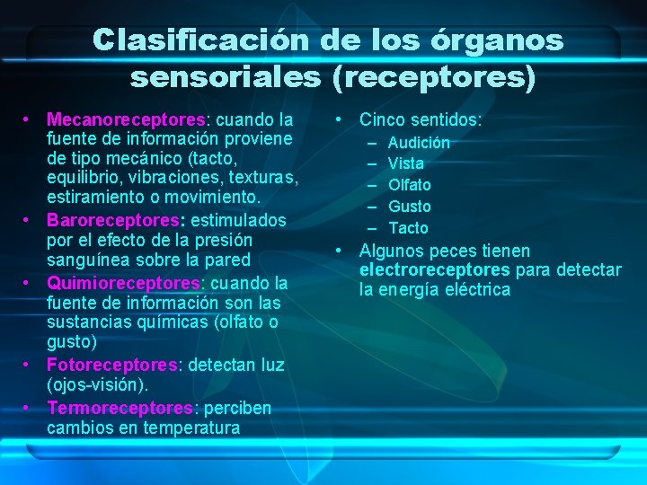 Clasificación de los órganos sensoriales (receptores) • Mecanoreceptores: cuando la fuente de información proviene