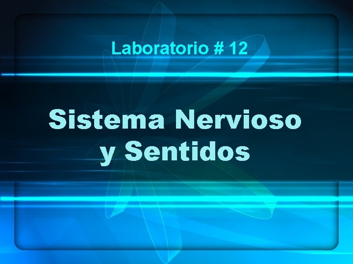 Laboratorio # 12 Sistema Nervioso y Sentidos 