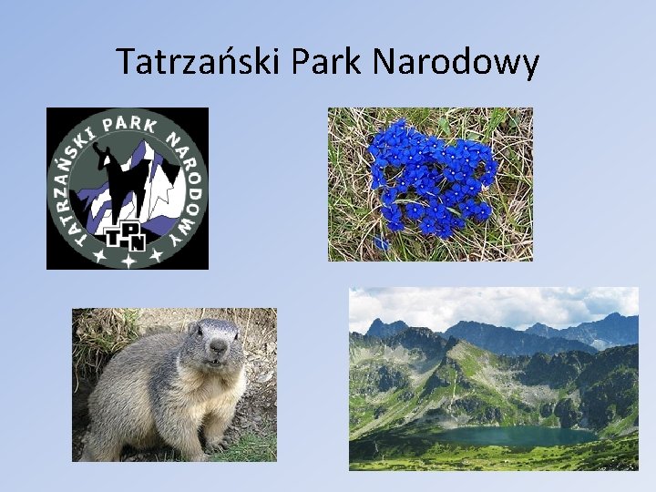 Tatrzański Park Narodowy Tatrzański Park Narodowy