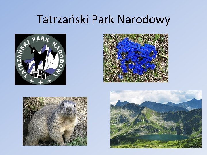 Tatrzański Park Narodowy 