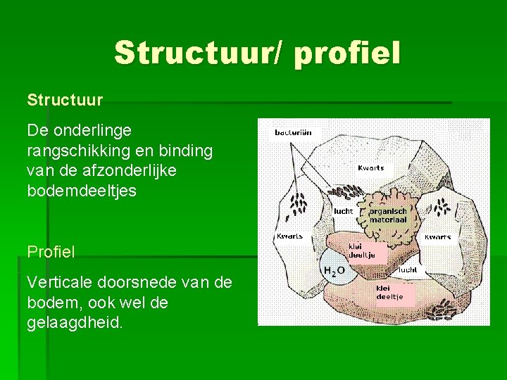Structuur/ profiel Structuur De onderlinge rangschikking en binding van de afzonderlijke bodemdeeltjes Profiel Verticale