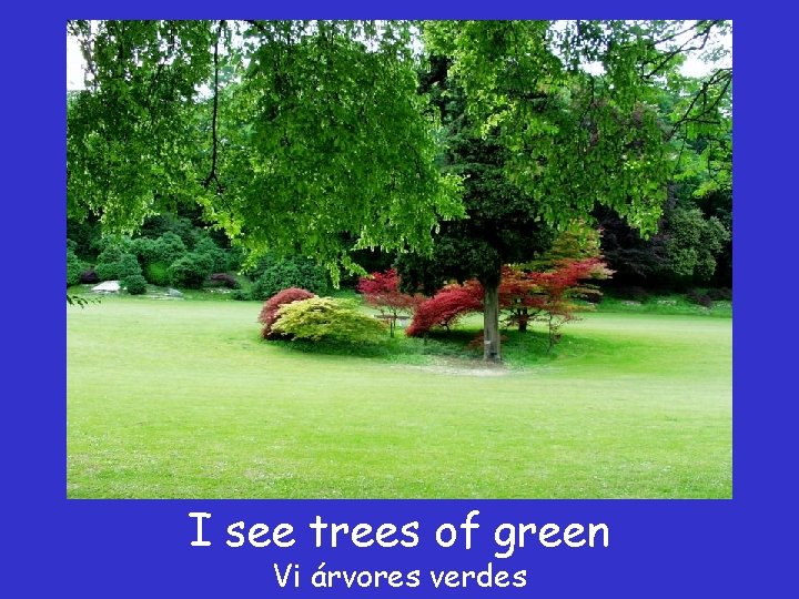 I see trees of green Vi árvores verdes 