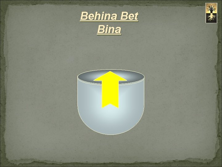 Behina Bet Bina 