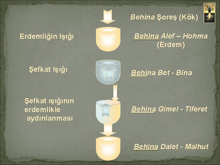 Behina Şoreş (Kök) Erdemliğin Işığı Şefkat ışığının erdemlikle aydınlanması Behina Alef – Hohma (Erdem)