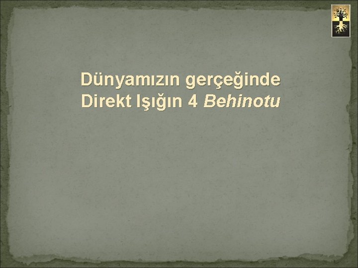 Dünyamızın gerçeğinde Direkt Işığın 4 Behinotu 