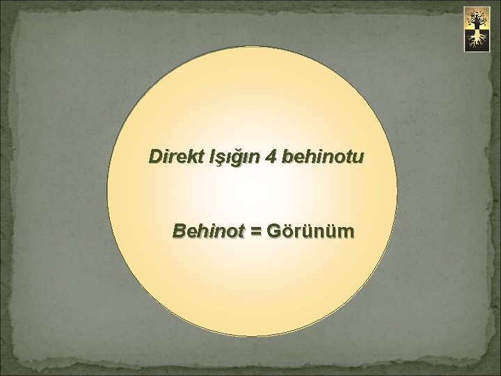 Direkt Işığın 4 behinotu Behinot = Görünüm 