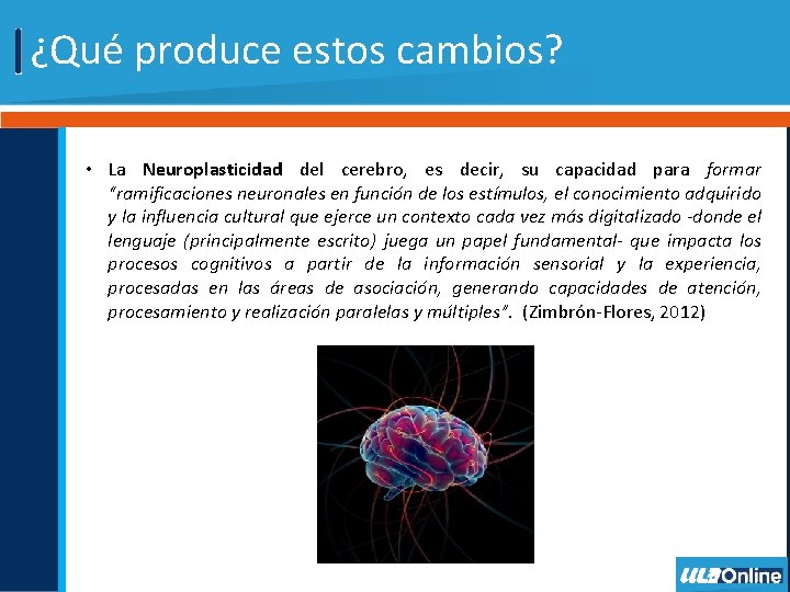 ¿Qué produce estos cambios? • La Neuroplasticidad del cerebro, es decir, su capacidad para