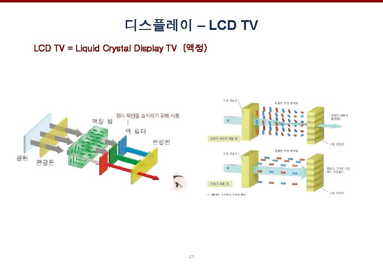 디스플레이 – LCD TV = Liquid Crystal Display TV (액정) 21 