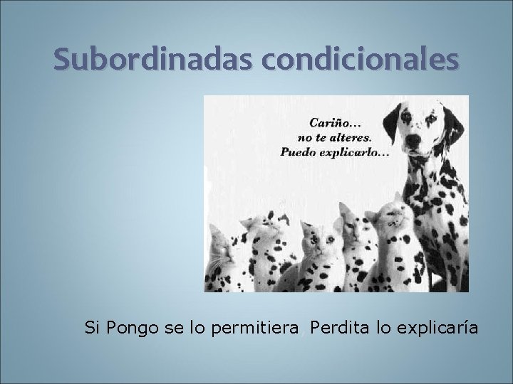 Subordinadas condicionales Si Pongo se lo permitiera, Perdita lo explicaría 