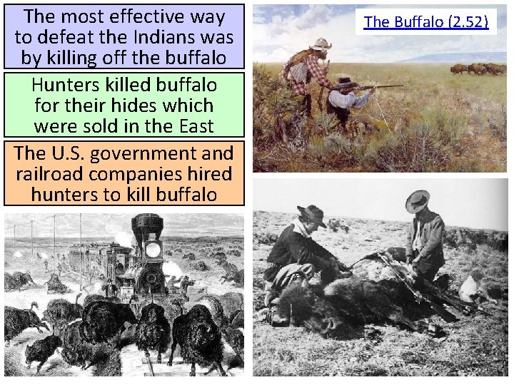 The most effective way to defeat the Indians was by killing off the buffalo