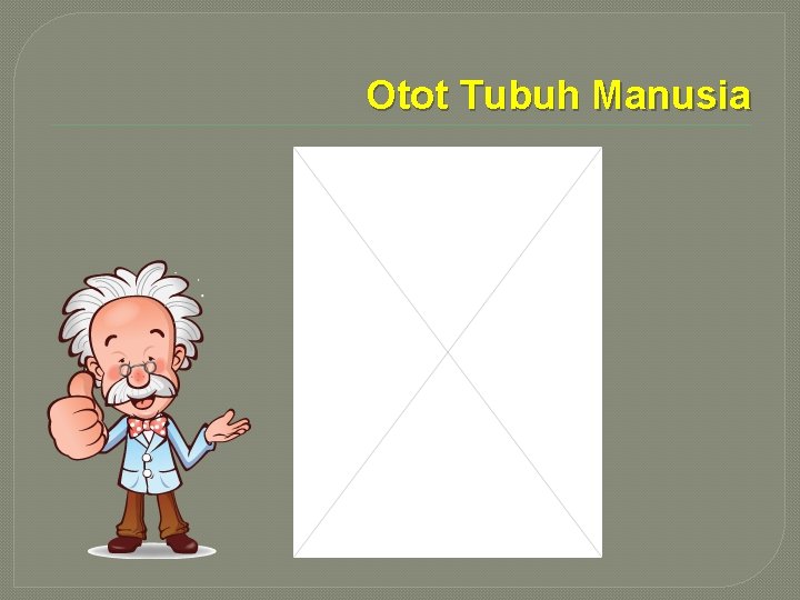 Otot Tubuh Manusia 