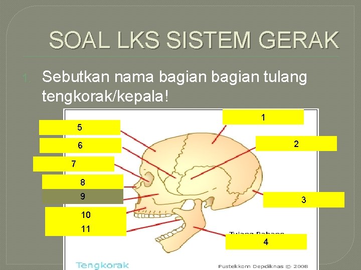 SOAL LKS SISTEM GERAK 1. Sebutkan nama bagian tulang tengkorak/kepala! 1 5 2 6