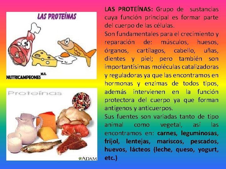 LAS PROTEÍNAS: Grupo de sustancias cuya función principal es formar parte del cuerpo de