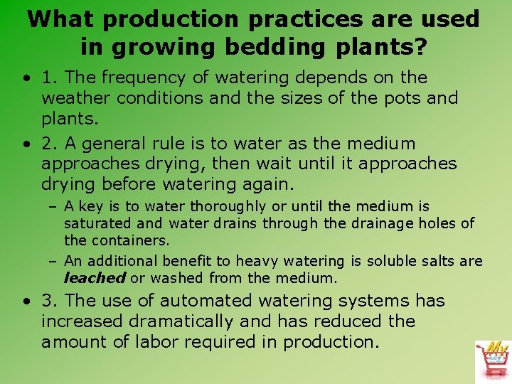 What production practices are used in growing bedding plants? • 1. The frequency of