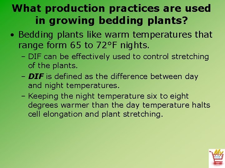 What production practices are used in growing bedding plants? • Bedding plants like warm