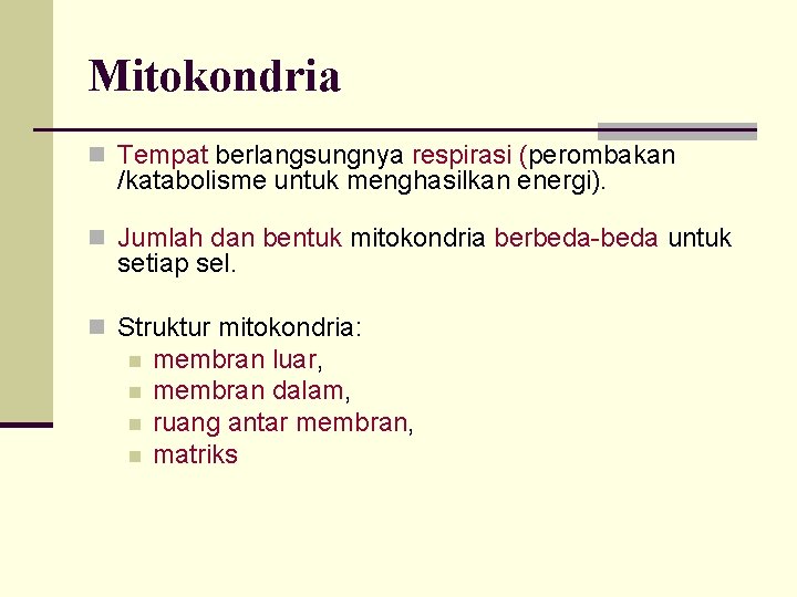 Mitokondria n Tempat berlangsungnya respirasi (perombakan /katabolisme untuk menghasilkan energi). n Jumlah dan bentuk