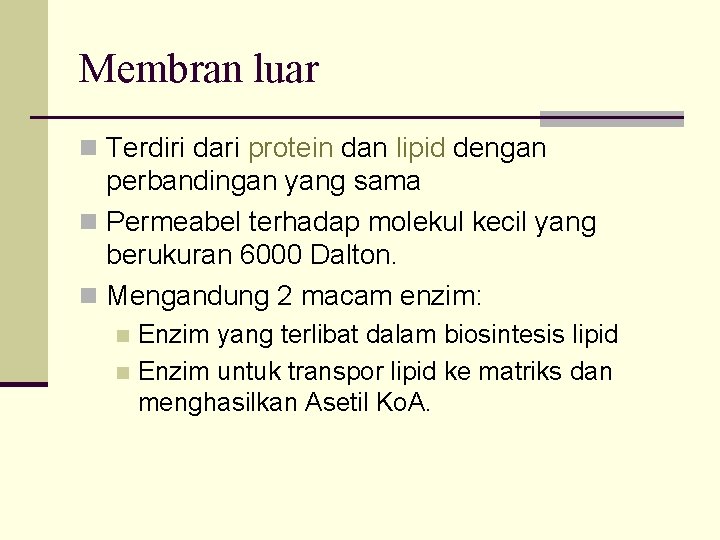 Membran luar n Terdiri dari protein dan lipid dengan perbandingan yang sama n Permeabel